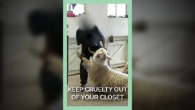 Keep Cruelty Out of Your Closet.