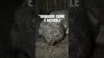 Mangiare carne NON è naturale #shorts