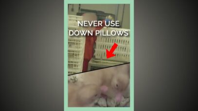 Never Use Down Pillows