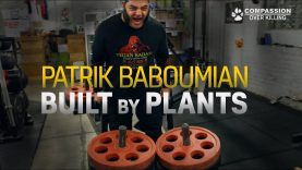 One of The World's Strongest Men is Vegan: Patrik Baboumian