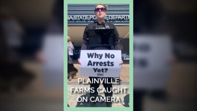 Plainville Farms Caught on Camera