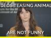 Videos Teasing Animals Are Not Funny