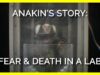 Anakin’s Story: Fear, Pain, and Death in a UMass Lab