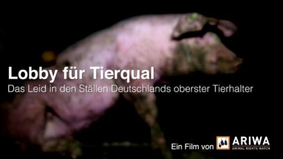 ARIWA – Lobby für Tierqual