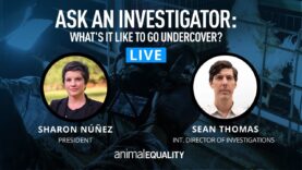 Ask An Investigator: What's It Like To Go Undercover?