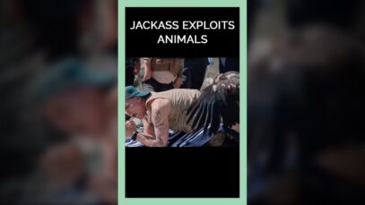 Jackass Exploits Animals #shorts