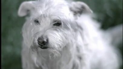 Loretta Lynn: Anti-Chaining