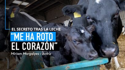 ¿Qué ESCONDE la INDUSTRIA de la LECHE?