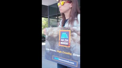 We Showed ALDI Customers the Truth