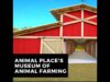 Animal Place's Virtual Museum of Animal Farming