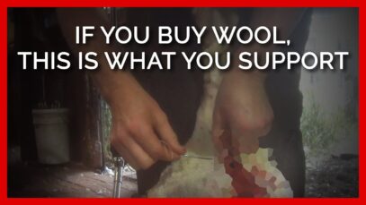 If You Buy Wool, This Is What You Support