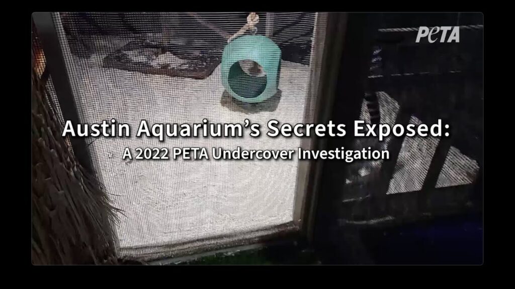 The Austin Aquarium Bites PETA Undercover Investigation Reveals