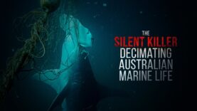 The Silent Killer Decimating Australian Marine Life
