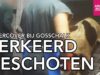 Undercover bij Gosschalk | Kalveren verkeerd geschoten | Animal Rights