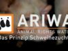 ARIWA – Das Prinzip Schweinezucht