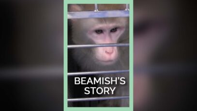 They don’t want you to know Beamish’s story.