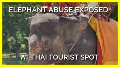 Message for the Tourism Authority of Thailand