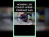 Morning Joe Covers Horse Carriage Ban #shorts