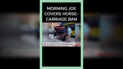 Morning Joe Covers Horse Carriage Ban #shorts