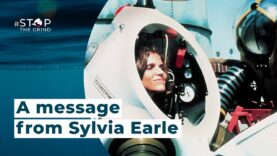 A Message from Sylvia Earle for World Dolphin Day - September 12th, 2022