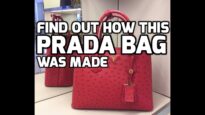 Birkin Bags and Prada Purses: A Look Inside the 'Luxury' Ostrich-Leather Bag Business