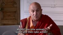 Buddhist Monk Matthieu Ricard Reveals the Secret to Happiness