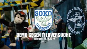 DEMO GEGEN TIERVERSUCHE – Tübingen, 18.12.2016