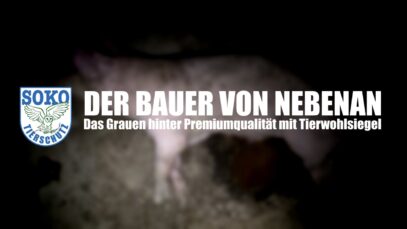 DER BAUER VON NEBENAN // SOKO Tierschutz e.V.