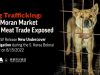 Dog Trafficking: The Moran Market Dog Meat Trade Exposed