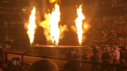 Expert Veterinary Analysis of PBR (Professional Bull Riders) Bull Riding Event – 2021