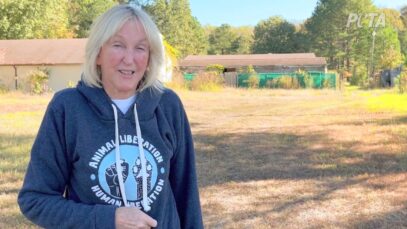 From Poisoning Tests to Freedom!