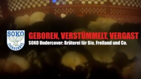 GEBOREN, VERSTÜMMELT, VERGAST - Undercover in einer Brüterei // SOKO Tierschutz e.V.