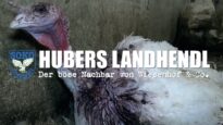HUBERS LANDHENDL – Der böse Nachbar von Wiesenhof & Co. // SOKO TIERSCHUTZ e.V.