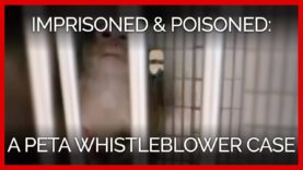 Imprisoned and Poisoned: A PETA Whistleblower Case