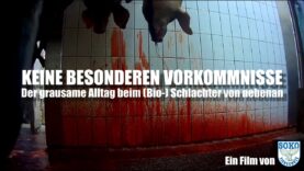 KEINE BESONDEREN VORKOMMNISSE - Der (Bio-)Schlachter von nebenan // SOKO Tierschutz e.V.