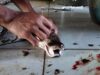 Louis Vuitton Owner Exposed: Workers Strike and Skin Pythons Likely Alive