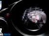 PELZ IM FOKUS: Nerze // SOKO Tierschutz e.V.