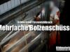 Schlachthof Fürstenfeldbruck: Mehrfache Bolzenschüsse // SOKO Tierschutz e.V.