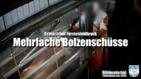 Schlachthof Fürstenfeldbruck: Mehrfache Bolzenschüsse // SOKO Tierschutz e.V.