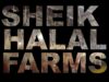 Sheik Halal Farms Investigation