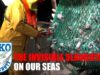 The invisible slaughter on our seas // SOKO Tierschutz e.V.