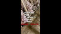 UPDATE: National Pork Producers Council V Ross