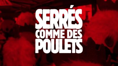 Des poulets envahissent un Burger King !