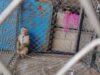 EXPOSED: Thai Coconut Milk Industry Caught Still Using Forced Monkey Labor