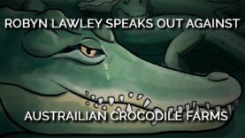 Robyn Lawley Speaks Out Against Australian Crocodile Farms