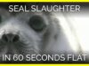 Seal Slaughter in 60 Seconds Flat