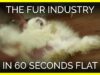 The Fur Industry in 60 Seconds Flat