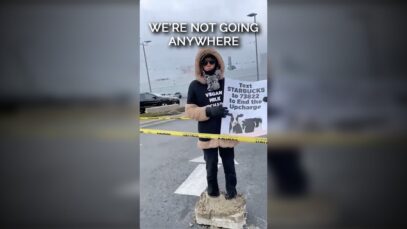 We're Not Going Anywhere #shorts