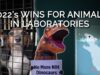 2022’s Big Victories for Animals Suffering in Cruel Experiments