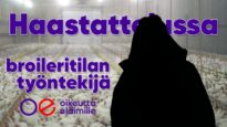 Haastattelussa broileritilan työntekijä